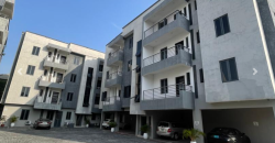 Elegant 1 Bedroom Apartment and General Gym For Sale